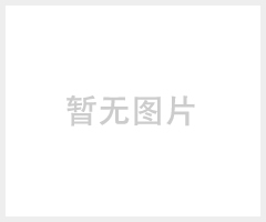 液压潜水泵 LWP2/LTP3 阿特拉斯现货